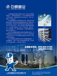 上海白蝶管业科技股份有限公司管理模式创新研究